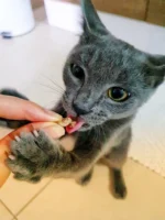 Pulmão Bovino 50g - CREC COOKIES - Imagem 4