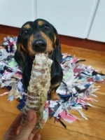 Traqueia Bovina 1 un - COLLAGEN STRIPS - Imagem 5