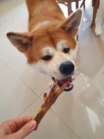 Pé de Galinha 5 un - CHICKEN DELIGHT - Imagem 5