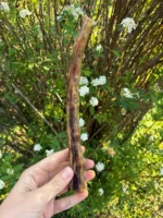 Rabo Bovino 3 un - CALMING CHEWS - Imagem 2