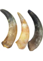 Chifre Bovino XGG+38cm - CALMING CHEWS - Imagem 3