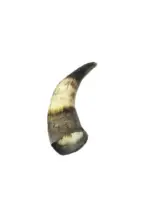 Chifre Bovino P - 12-15cm - CALMING CHEWS