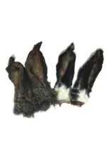 Orelhas de Coelho 5 un - COELHO