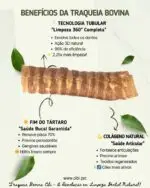 Traqueia Bovina 3 un - COLLAGEN STRIPS - Imagem 3