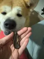 Snack Rim 30g - Imagem 7