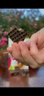 Snack de Fígado 200g - Chocolate Pet - CREC COOKIES - Imagem 2