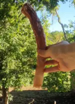 Veia Aorta Bovina 4 un - COLLAGEN STRIPS - Imagem 2