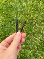 Snack Baço 30g - Palitinho Pet Gourmet - Imagem 2