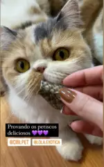 Couro de Peixe 10 un - FANTASTIC FISH - Imagem 8