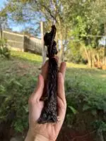 Esôfago Bovino 3 un - CALMING CHEWS - Imagem 2