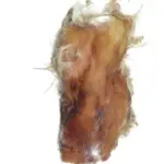 Pele de Coelho 1 un - COELHO