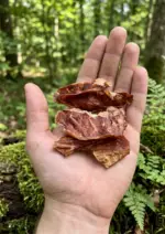 Pulmão Suíno 50g - Biscoito CREC COOKIES - Imagem 2