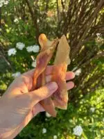 Tiras de Colágeno 60g - COLLAGEN STRIPS - Imagem 2